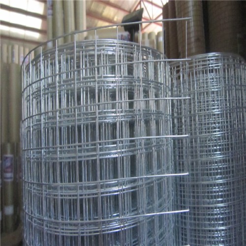 Hot dip galvanized welded wire mesh